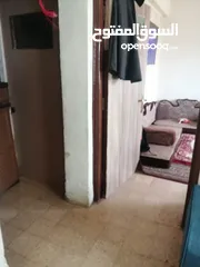  2 شقة للبيع الهاشمي شمالي