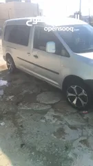  4 كادي شصي طويل