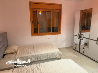  30 شقة مفروشة في المصيون