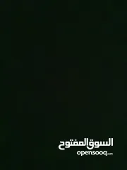  2 مطلوب بولو او قلف للبيع دفعة 20000 او شكات 2000