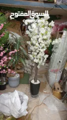  5 اشجار صناعيه