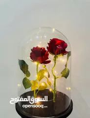  1 Flower rose dome