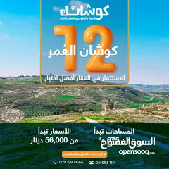  4 ارض مميزه للبيع بمساحه 950م و بسعر تنافسي من المالك _ شارع مادبا الغربي _طريق الجامعة الالمانية