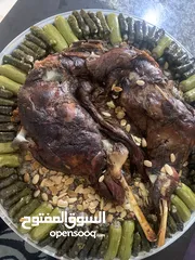  10 خروف مشوي او محشي او محشي ورق عنب دوالي