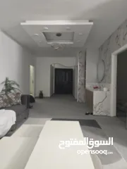  2 محمد عوض الله