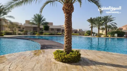  2 Newly furnished apartment in Aqaba for sale or rent by owner