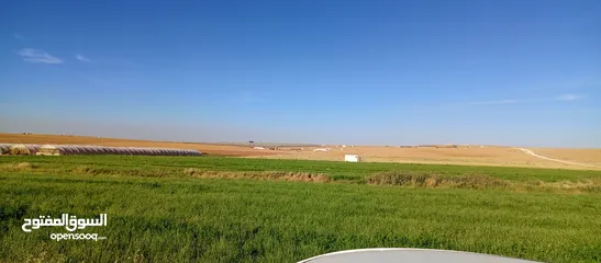  3 قطعة ارض بالقرب من الجامعة الامريكية