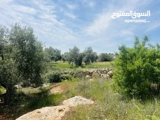  3 960 م شارع الستين
