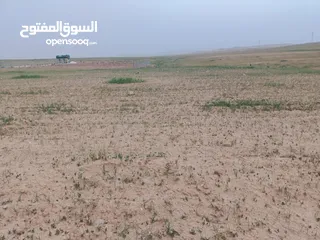  5 ارض للبيع من المالك مباشرة