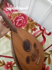  6 عود زرياب 1 تركي للبيع