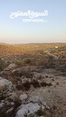  6 القبة الذهبية  شارع بلعا-دير الغصون