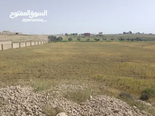  27 ارض للبيع أراضي جنوب عمان ارينبه الغربيه قطع اراضي زراعية مميزة 