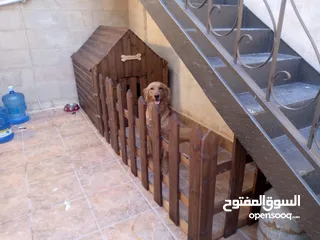  4 أكواخ خشبية وبيوت للحيوانات