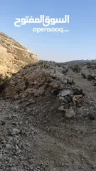  11 ارض للبيع 1000 متر طابو ابو نجيم