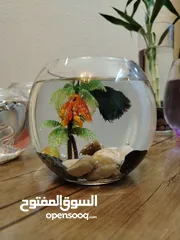  7 "جديد روح تنسيق أنيق لحوض الفايتر مع ناعورة وأحجار زينة طبيعية"