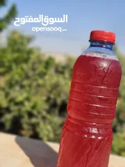  24 مشروب Indigo طبيعي غني بالمكونات النباتية  Indigo مشروب نباتي لتعزيز النشاط  مشروب صحي بنكهة طبيعية