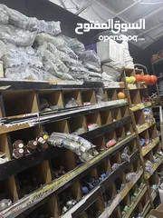  20 بصائع محل مواد بناء للبيع