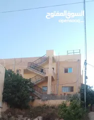  6 بيوت   طابقين   واحدة شقتين    والثانية ثلاث شقق