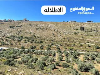  1 ارض 588 م منطقه العمدان ، كوشان مستقل بالنمره