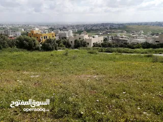  6 ارض للبيع في أربـــــــــــــــــــد ــ ناطفه