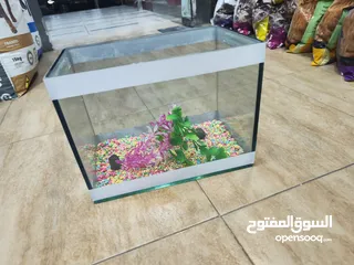  1 حوض سمك مجهز عبي مي و حط سمكاتك ، الطول 32 سم ارتفاع 23 سم عمق 21 سم