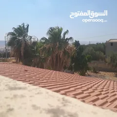  6 قرميد للبيع كامل مع الحديد والباب