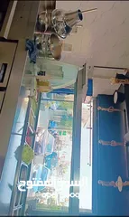  9 مطعم شعبي للبيع