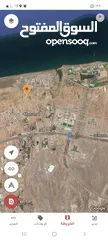  3 للبيع 3 أراضي سكنيه شبك في المنومه مساحة كل قطعه 735متر واجهه عريضه 30 متر
