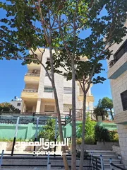  1 شقة مفروشة للايجار