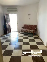  3 مقصور في النخيل