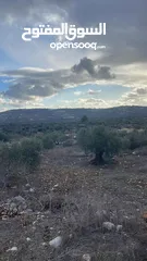  2 أرض للبيع في جنوب  غرب كفرراعي على شارع رئيسي واصل جميع الخدمات