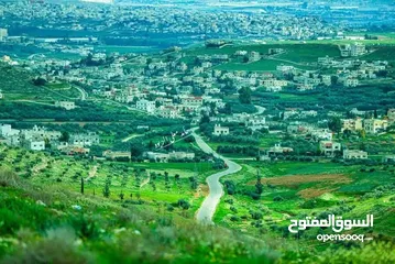  1 أرض للبيع #غريسا
