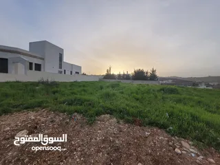  2 أرض مميزه جدا للبيع بشفا بدران بسعر ممتااااز