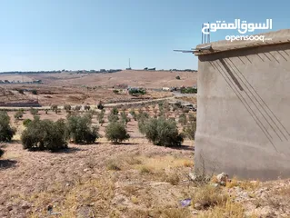  30 لقطة ؛ أرض زراعية مع غرفة على حدود الطفيلة والكرك ، تصلح للاستثمار كمزرعة سياحية أو منتجع سياحي