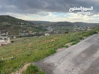  1 قطعة ارض في ام رمانه بيرين بجانب شفا بدران على حدود التنظيم