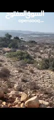  1 ارض طابو سلطه تصنيف سكن با  في دير استيا 130دونم المساحه