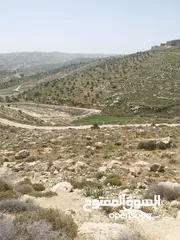  3 ارض للبيع ( ام رمانه) قريبه جدا من شارع الاردن حيث تبعد عن بن معروف 6 دقائق فقط