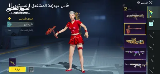  17 حساب ببجي