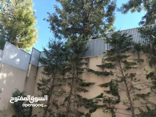  25 حداد متنقل في جميع مناطق عمان