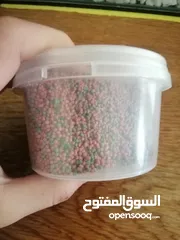  6 حوض سمك مع اكسسوارات للبيع