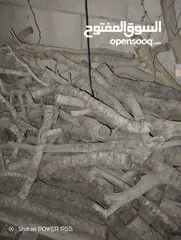  13 تشكيلة حطب للبيع