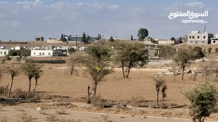  5 في صنعاء يوجد لدينا قطع اراضي بواجهه كبيره من النوع المرغوب حر مخطط رسمي قريب للخدمات