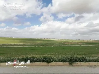  1 ارض للبيع في ضاحيه نادي الجواد العربي طريق المطار