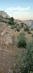  5 قطعة أرض طابو للبيع