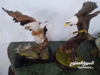  2 مناظر   حيوانات