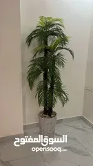  22 متفرقات ايكيا
