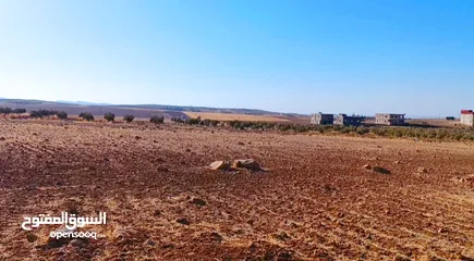  2 ارض استثمارية مميزة/ مزرعة تميرة للبيع بسعر مناسب جدا من المالك مباشرة/تم بيع قطعتين و باقي قطعتين