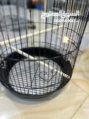  11 قفص مطاول أبيض أسود بخ حراري