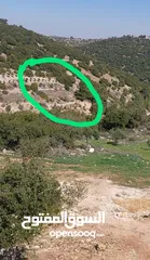  1 قطعة ارض للبيع
