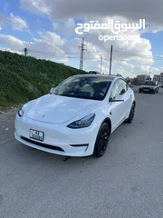  1 Tesla model y
